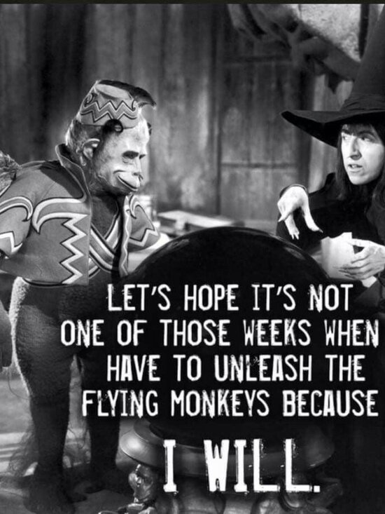 LIKE TO BE NOTIFIED WHEN I POPUP/GO LIVE! - Picture 12 of 16